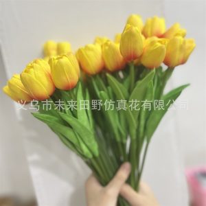 Hoa Tuylip vàng - Bông