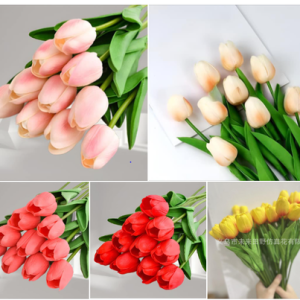 Alternative view of Hoa Tuylip Hồng - Bông