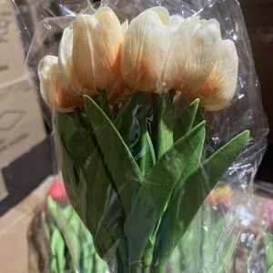 Alternative view of Hoa Tuylip Hồng Cam - Bông