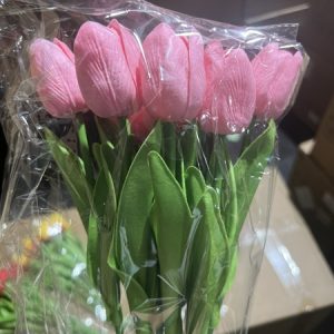 Hoa Tuylip Hồng - Bông