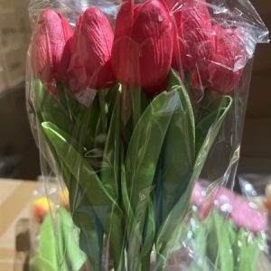 Alternative view of Hoa Tuylip Đỏ - Bông