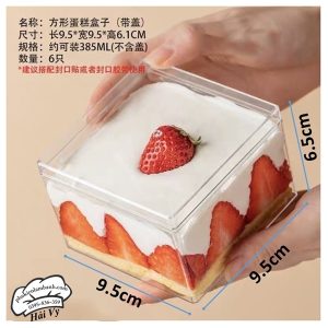 Hộp vuông nhựa cứng PS 9565 (95*95*65mm) - 10 Cái