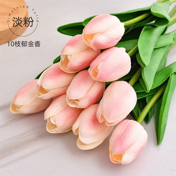 Hoa Tuylip Hồng Phai - Bông