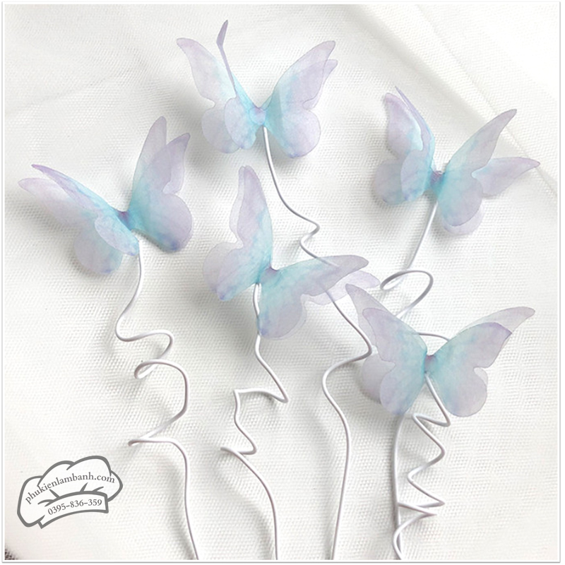 Set 5 bướm XANH cánh mỏng - Set