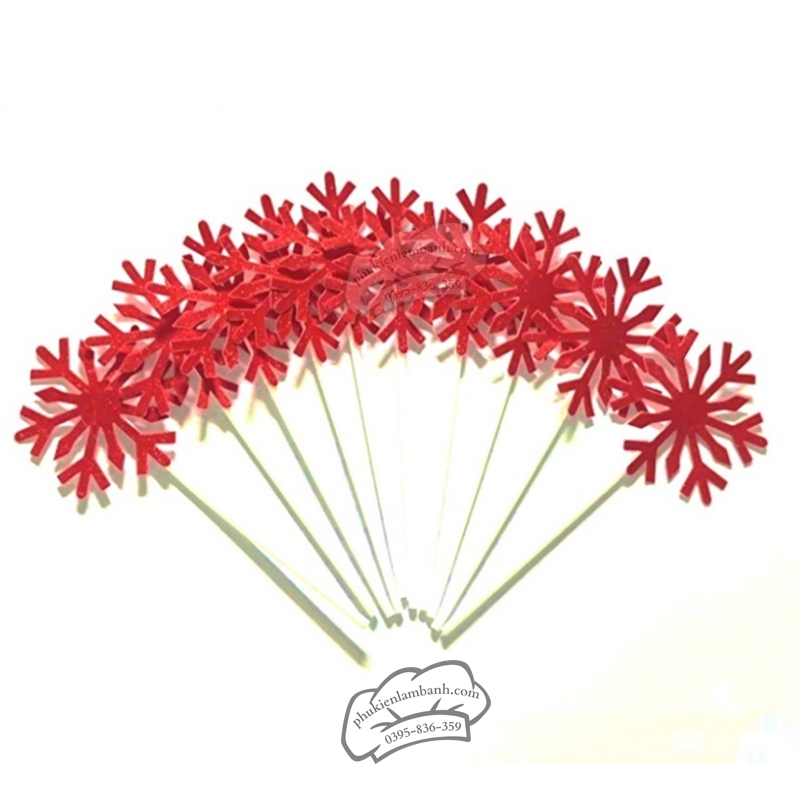 Hoa tuyết đỏ - Set