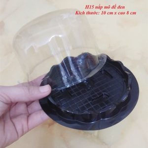 Hộp H15 đế Đen 11cm cao 8cm nắp vòm - 50 Cái
