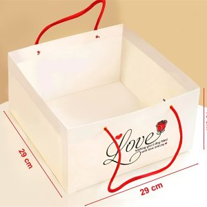 28.5x28.5 cao 18cm Túi 9 ngăn Trắng Love - Cái