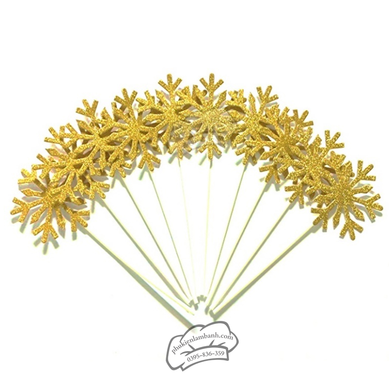 Hoa tuyết vàng - Set