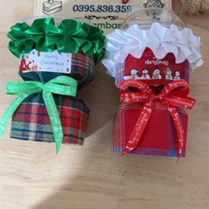Ôc hoa Noel kèm hộp cầu - Cái