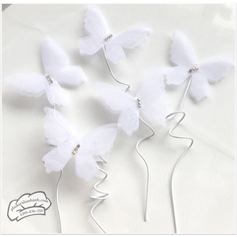 Set 5 bướm TRẮNG cánh mỏng - Set
