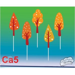 Lá 5 - Set