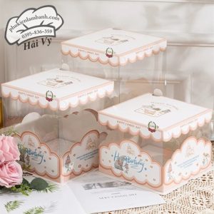 22x22x16cm hôp mica viền Nâu - 5 cái - Ảnh 3