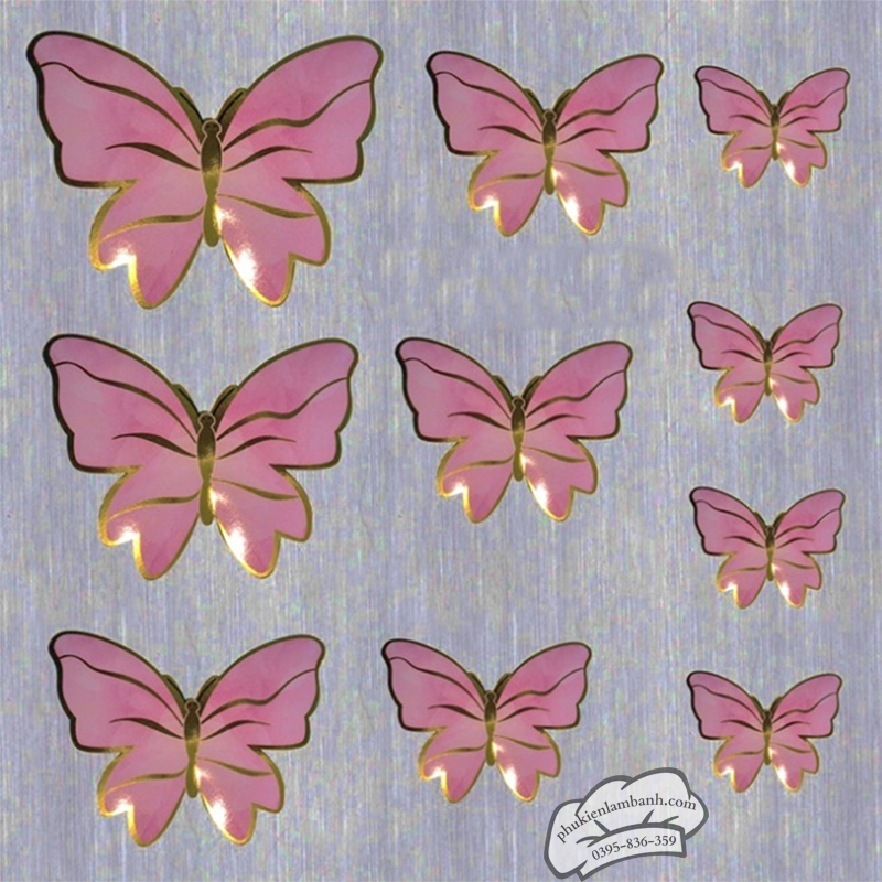 Bướm hồng - Set