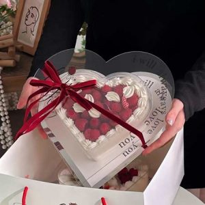 28.5x28.5 cao 18cm Túi 9 ngăn màu Hồng - Cái - Ảnh 2