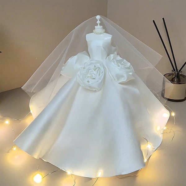 Váy cưới mẫu 12 - Cái - Ảnh 4