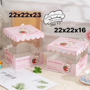 22x22x16cm hôp mica viền Hồng - 5 cái - Ảnh 2