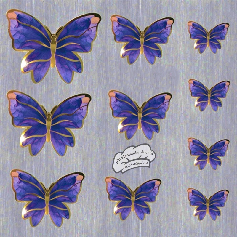 Bướm tím - Set
