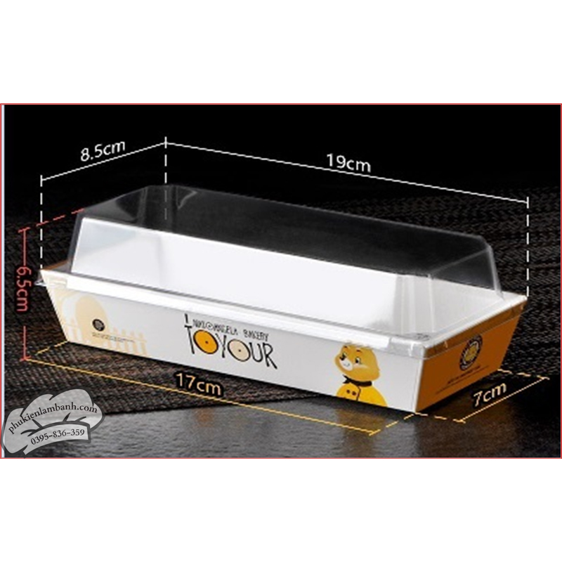 Hộp sanwich chữ nhật gấu vàng - 50 Cái