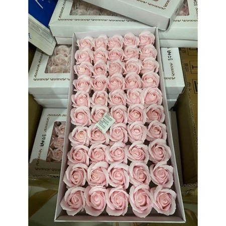 Hoa sap thơm Cam Hồng - Bông