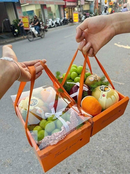 Hộp hoa quả màu Cam - Cái