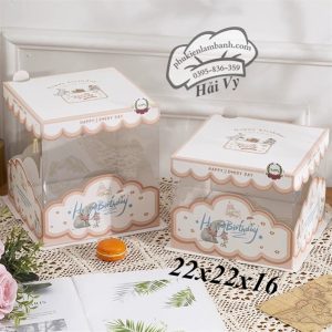 22x22x16cm hôp mica viền Nâu - 5 cái