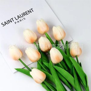 Hoa Tuylip Hồng Cam - Bông