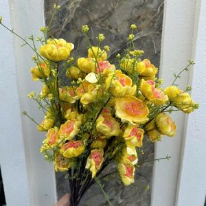 Hoa trà cổ 5 bông nhiều màu - Cành - Ảnh 4