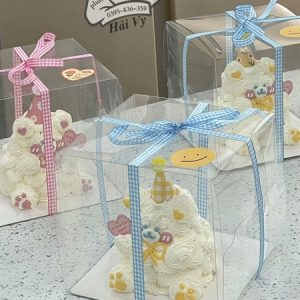 16x16x16cm Hộp mica mini có quai - 5 Cái - Ảnh 4