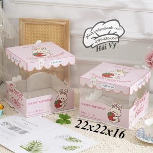 22x22x16cm hôp mica viền Hồng - 5 cái