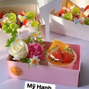 19X10.5X10cm Hộp giấy chữ Nhật nắp Mica màu Hồng - 5 Cái