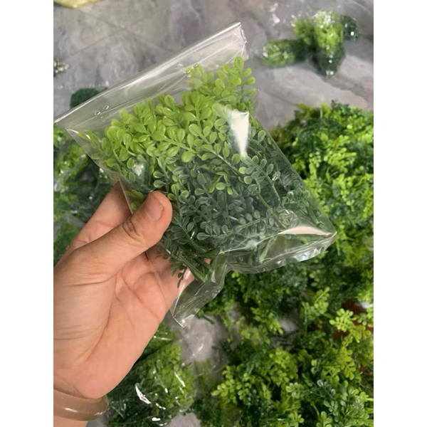 Lá Thanh hương nhựa bịch 60 cành - Gói - Ảnh 2