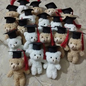 Trang trí gấu bông 10CM có mũ tốt nghiệp - Con
