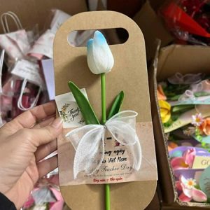 Hoa thiệp túi 20/11 - Set - Ảnh 2